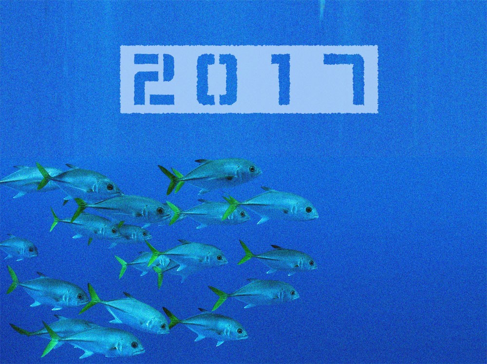 Año nuevo 2017